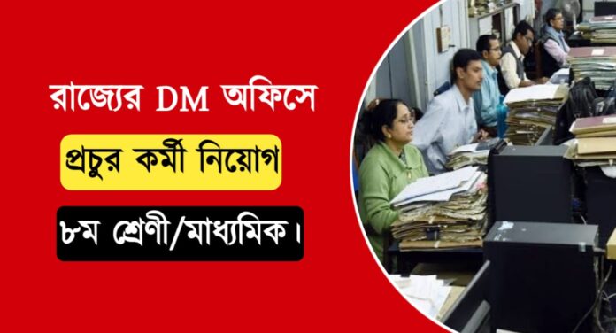 DM office recruitment